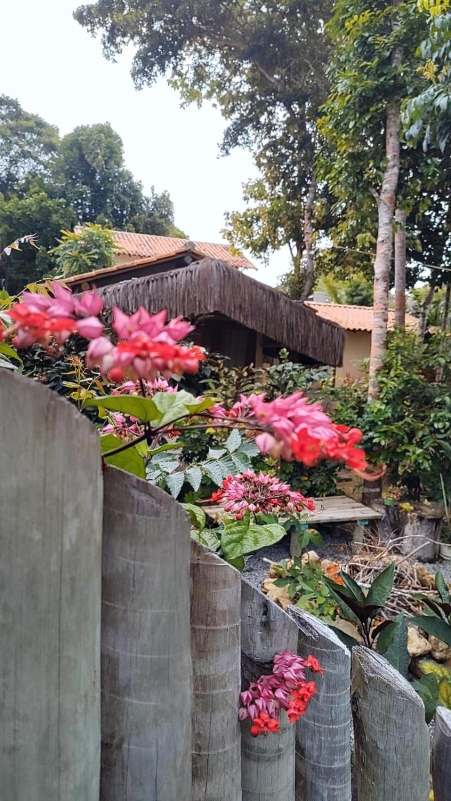 פורטו סגורו 4 Elementos Guest House מראה חיצוני תמונה